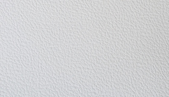 Algro-Leather2