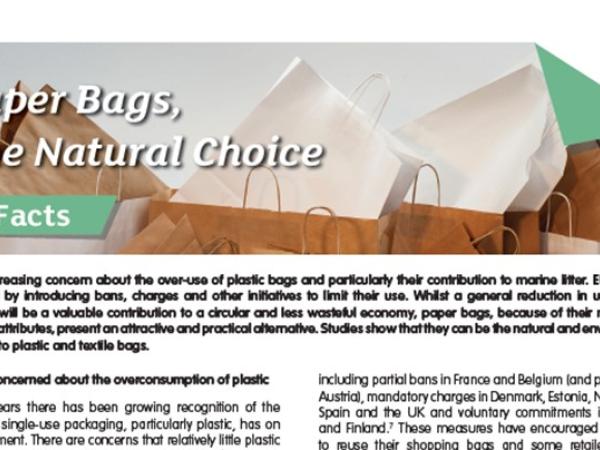 5-Paper-Bags-The-Natural-Choice