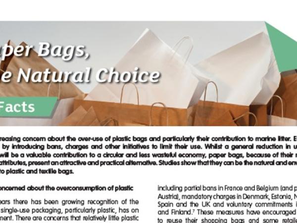 5-Paper-Bags-The-Natural-Choice
