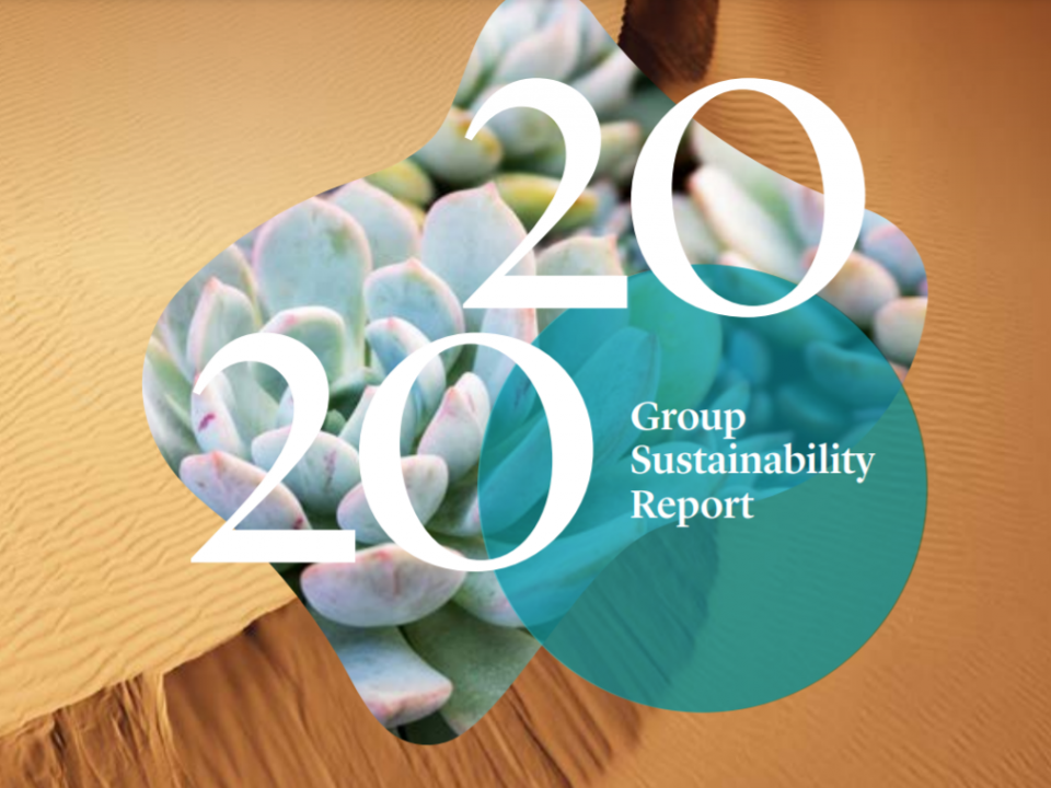 sappi group sustainability report 2020