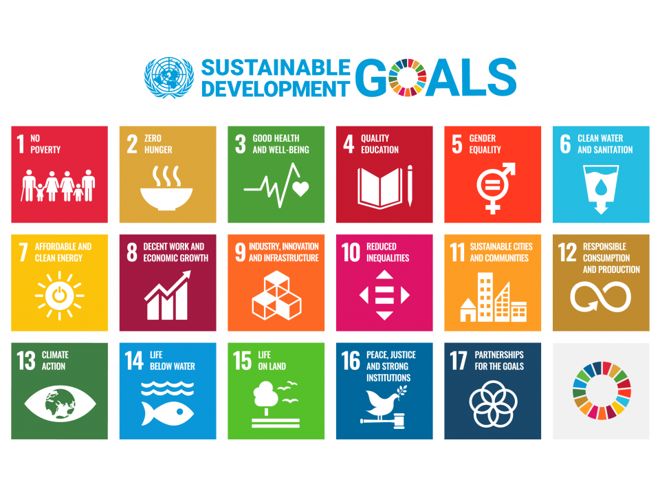 Sustainable development goals 