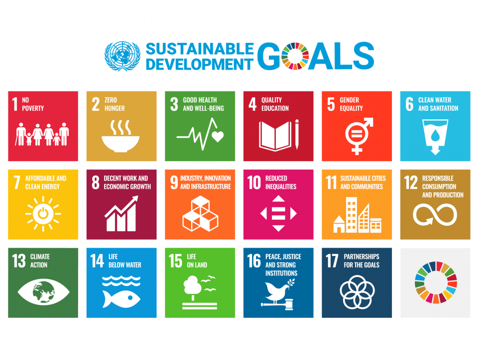 Sustainable development goals