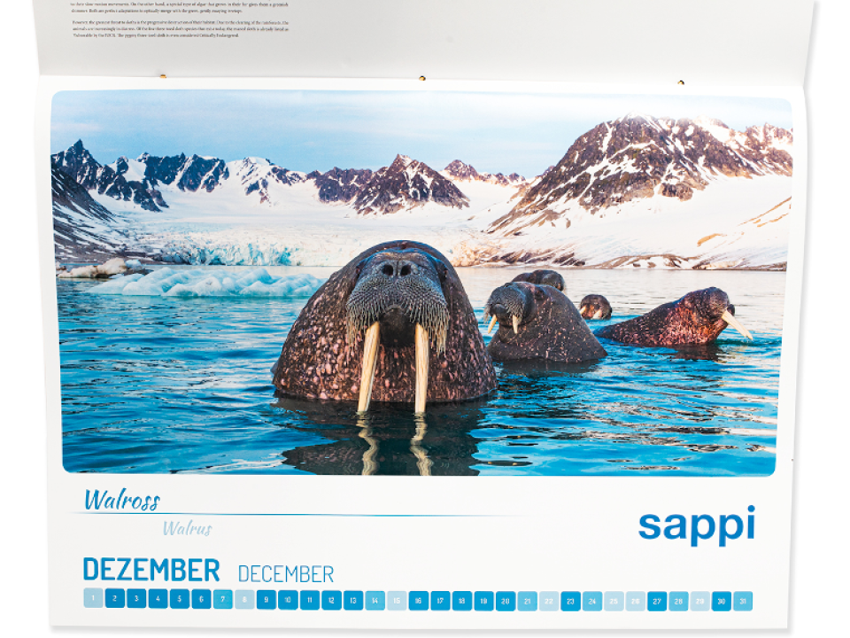 Mondberge Kalender Sappi