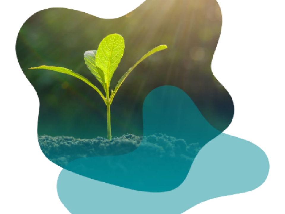 sustainability.png
