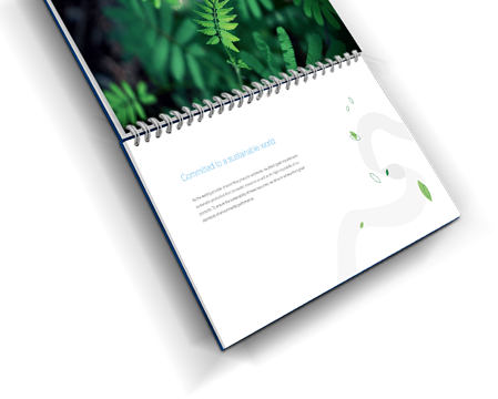 Paperboard Brochure